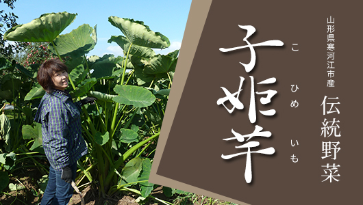 �R�`�����͍]�s�Y�̌��̗����u�q�P���i���Ђ߂����j�̔̔��ē� �b ���Ɣ_��